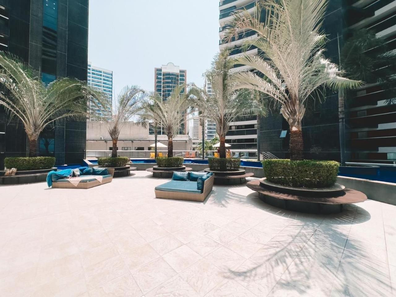 Landscape Meireles *